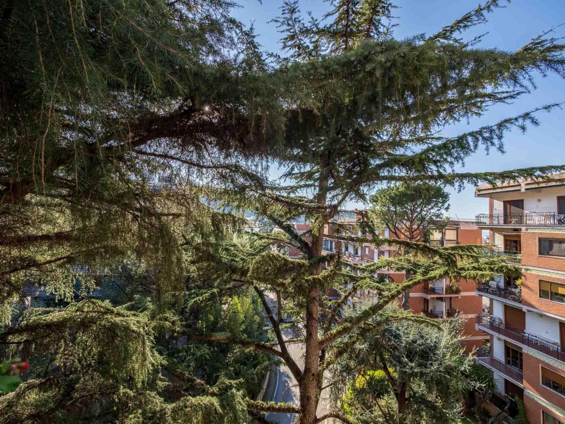 Pine House Sorrento Apartment Bagian luar foto